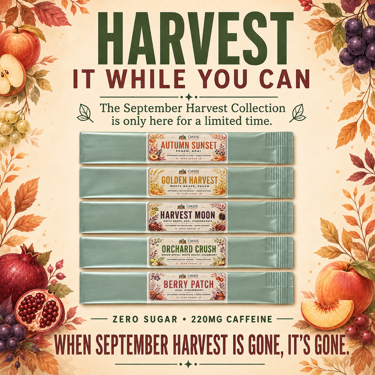 September Harvest 10-Pack | Limited Edition Loaded Teas